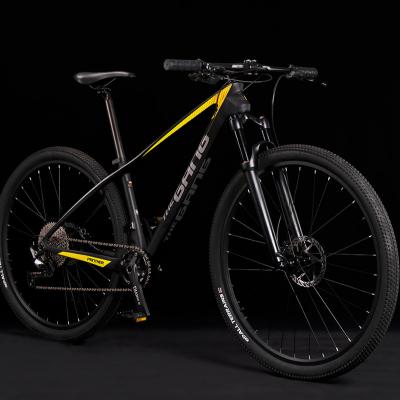 China High Quality 29 Inch MEN'S Carbon Fiber City Sport SUV Mountain Road Bike Bicycle With 12 Speed Hard Frame for sale