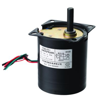 China Other Diameter 60mm Low Torque RPM High Permanent Magnet Synchronous AC Motor 17w for sale