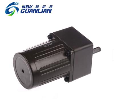 China Metal Speed YN60 Low Speed High Torque AC Motor for sale
