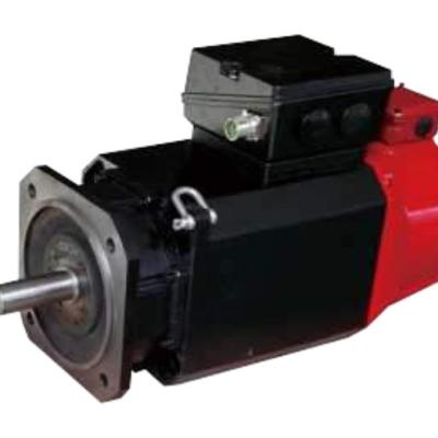 China Waterproof High Speed Spindle Servo Motor for sale