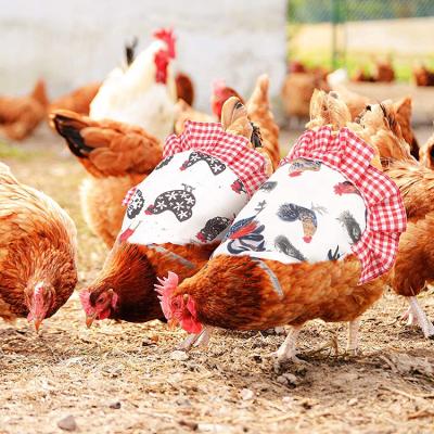 China Durable Easy Wear Hen Wing Feather Protective Care Supplies Apron Chicken Saddles With Elastic Straps for sale