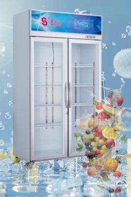 China Refrigerador de pantalla comercial de ahorro de energía 584L Refrigerador de pantalla de doble puerta en venta