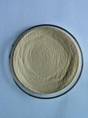 Chine Poudre de graisse de palme microencapsulée pour volaille à vendre
