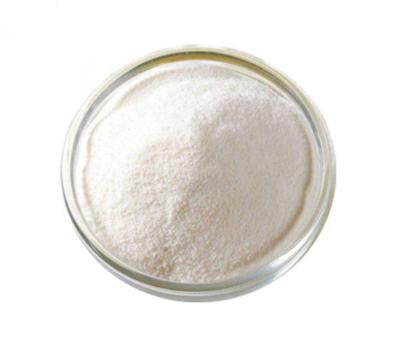 Chine Les acides gras à chaîne courte de butyrate de calcium de 98% étripent la santé insoluble dans l'eau à vendre