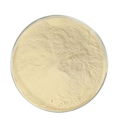 Chine ISO Spherical Granule Coated Sodium Butyrate 85% with Vitamin E and carotene for aqua à vendre