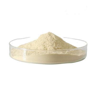 Chine ISO Spherical Granule Coated Sodium Butyrate 85% with Vitamin E and carotene for swine à vendre