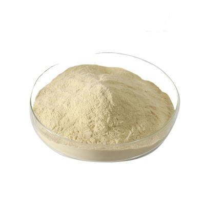 Chine ISO Spherical Granule Coated Sodium Butyrate 80% with Vitamin E and carotene for poultry à vendre