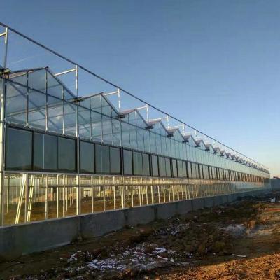 China Large Prefabricated Outdoor And Indoor Backyard Glass Greenhouse For Flower Growing for sale
