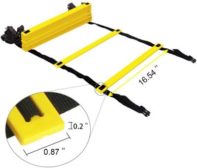 China Custom Football Traning Fitness Equipment Cones Set Exercises Sports Quickness Speed Training Agility Ladder for sale