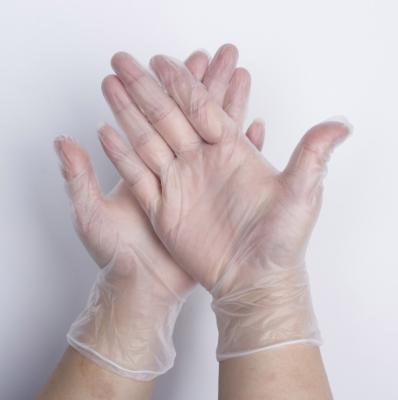 Chine EN455 les gants médicaux d'examen de vinyle de PVC de 12 pouces saupoudrent librement à vendre