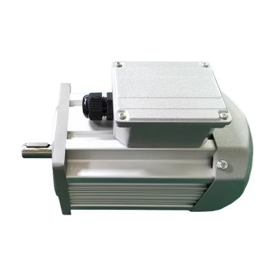 China High Speed Car DC Brushless Motor 120kg.cm 50/60 Hz 900r/m 550w PM Brushless Motor for sale