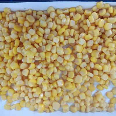 China Canned Thailand Canned Corn for sale