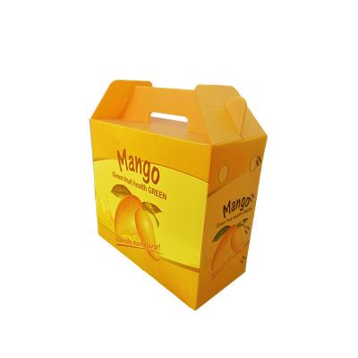 China Waterproof PP Apple Tea Plastic Packaging Box Or Vegetable Corrugated Plastic Boxes for sale