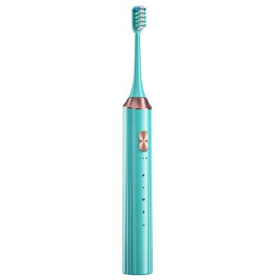 China 15 Speed Mode 2022 High Quality Sonic Electric Toothbrushes For Adults for sale
