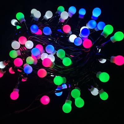 China Hot Selling Smart Indoor Outdoor Festival Party Ball Decoration RGB 100LED Light String for sale