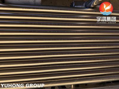 China ASTM A312 TP310S naadloze roestvrijstalen warmtewisselaarbuis met superieure corrosiebestendigheid bij hoge temperaturen Te koop