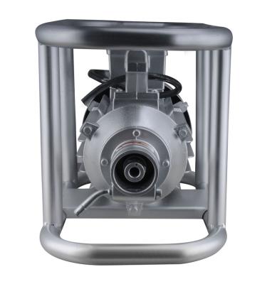 China ZN-100 Model ZN-100 Waterproof Motors Powerful Vibrator Speed Control Internal Concrete Concrete Vibrator for sale