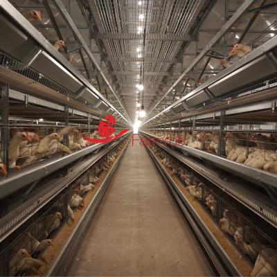 China Advanced performance 9-Tier H Type Layer Chicken Cage System Maintenance-Free for sale