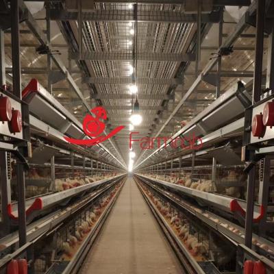 China Reliable and Even Feeding 8 tiers Layer Chicken Cage System Fine Management for sale