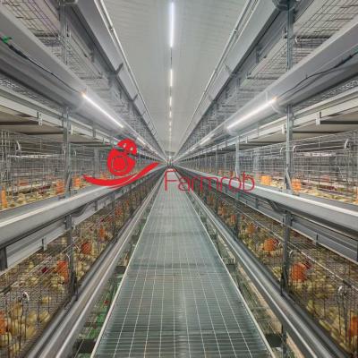 China Dependable 8-Tier Poultry Cage System for Baby Chicken Stress-free Space for sale