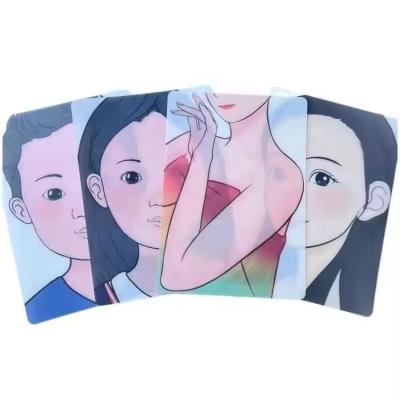 China Durable Reuse Painting Practice Plastic Sheets Quick Drying Facial Painting Practice Plastic Sheets for sale