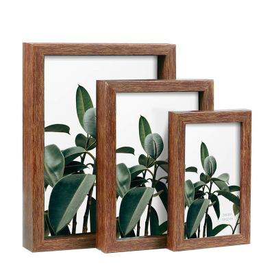 China Luxury 5x7 Inch Decoration Plant Specimen Plant Shadow Box Wall Hanging Frame Luxury Home Wall Art for sale