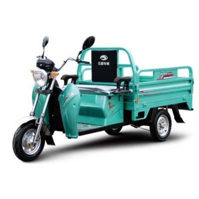 Chine 2024année EV Véhicules électriques 48V 500W Tricycle électrique 3 roues Cargo 12 tube Tricycle à vendre