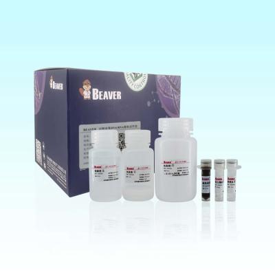 Chine ARN Kit For Scientific Research d'ADN viral animal de 20 Rxns BeaverBeads à vendre