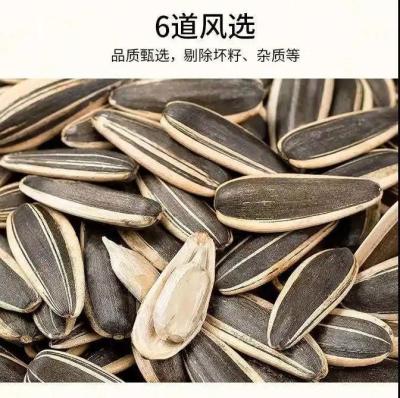 China Ano Novo Chinês Fábrica por atacado Coco Saborizado Sementes de girassol assadas à venda