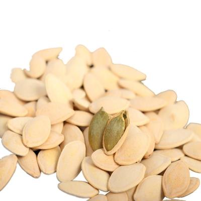 China Healthy and Tasty Rosated Snow White Pumpkin Seeds for Your Diet for sale