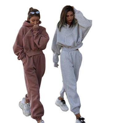 China Anti-wrinkle New Arrival Winter Hoodies Women Solid Color Hoodie Two Piece Sweater Set Women Two Piece Pants for sale
