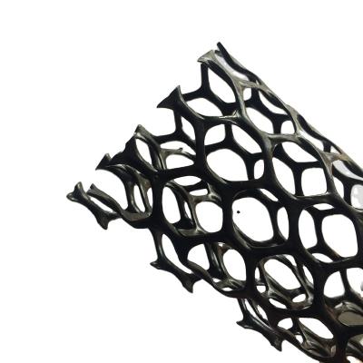 China Mesh Black Agricultural HDPE Protective Netting Plastic Tree Guard Mesh for sale