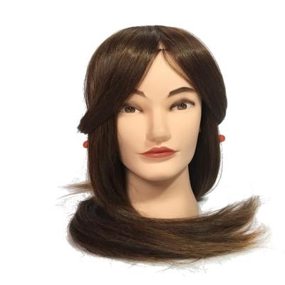 China Cosmetology Mannequin Heads Fashion African American Hair Dummy For Hair Style Braiding Training Heads Female Mannequin Head With Hair for sale
