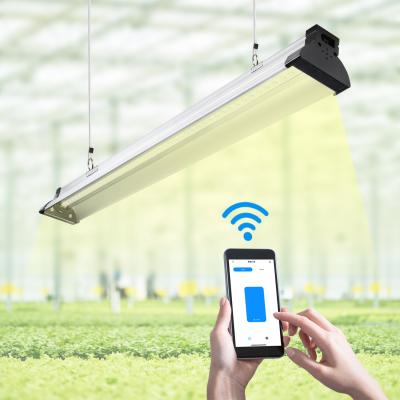 Cina Le luci astute 6400K 12W PWM della pianta principali coltivano le luci progressive idroponiche di luce del giorno della lampada 110v 220v in vendita
