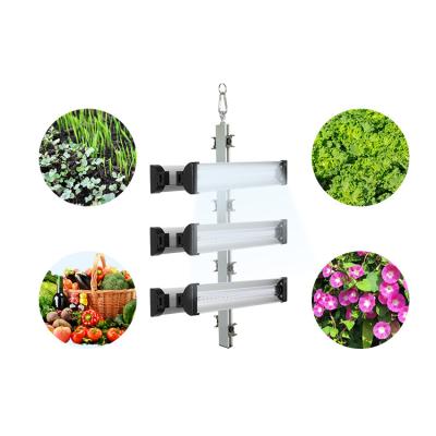 Cina L'alto lume ha condotto le luci progressive per la coltura idroponica orticola delle piante da appartamento LED e le piante d'appartamento in vendita