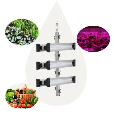 Cina La lampada crescente della striscia uno spettro completo di 12 watt ha condotto la luce progressiva a 12 pollici per Herb Planting medico dell'interno in vendita