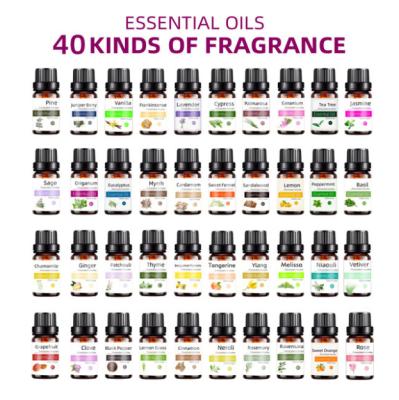 China Multifunctional Retail Essential Oils for Incense Stone Glass Bottle Aroma Furnace Expander for Diffuser Aroma Humidifier Diffuser for sale