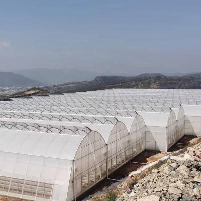 China Plant Growth and Flowering Plant China Supplier Galvanized Steel Frame PE Film Single-span Greenhouse For Vegetables Tunnel Greenhouse for sale