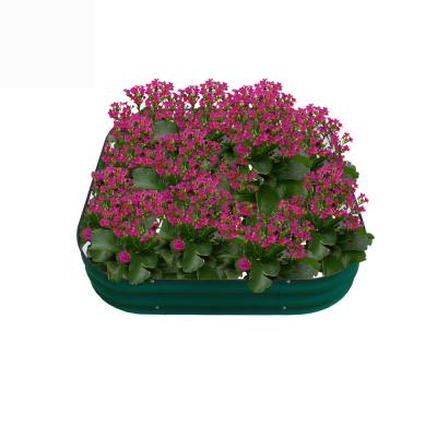 China Gegalvaniseerde staal verhoogde tuinbed Kit 3.4 * 3.4 * 0.66 FT Metalen Planter tuin dozen buiten met veiligheid rand en handschoenen Te koop