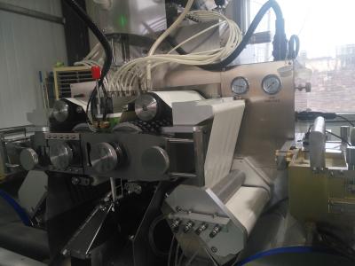 China PLC Controlecapsule Farmaceutische 1 Jaargarantie van de Productiemachine Te koop