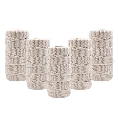 China Wholesale 3mm Cotton Rope Sustainable Wall Hanging Decorative Natural Macrame Twisted Rope DIY Braided Cotton Rope 100meters/roll for sale