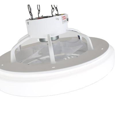 China Modern Chinese Manufacturer Led Ceiling Fans Pendant Lights Ceiling Fan with Light and Remote for sale