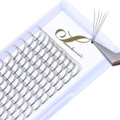 China Light Eyelash Supplies Wholesale C D Eyelash Extension Premade Loop Premade Fan Top Quality Lashes for sale