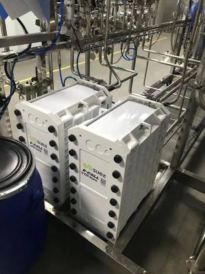 Cina Veolia E-Cell-3X Modulo EDI Trattamento dell'acqua ad alta purezza per uso farmaceutico industriale in vendita
