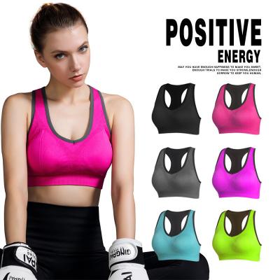 Chine Le sac inodore étirable d'Opp de soutien-gorge à haute impression de sports de femmes d'ODM a emballé à vendre