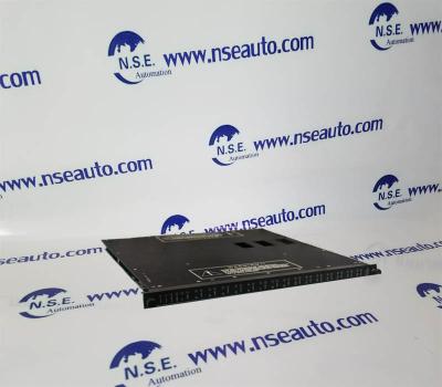 China TRICONEX 3604E NEW ARRIVAL WITH FACTORY SEALED BOX WITH 12 MONTHS WARRANTY for sale