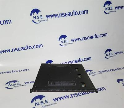 China TRICONEX 4310 NEW ARRIVAL WITH FACTORY SEALED BOX WITH 12 MONTHS WARRANTY for sale
