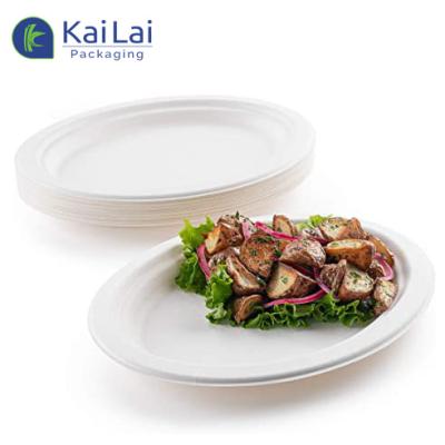 China Freezer Safe Oval Dish And Platter Eco Friendly Bagasse Dinnerware 10.3 Inch Disposable Sugar Cane Platos Desechables Oval Dish And Dish for sale