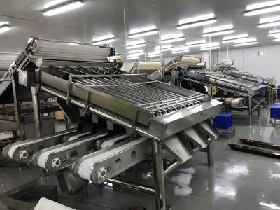 中国 3P 耐久性ガチョウ分類機 侵食防止のガチョウ分類装置 販売のため