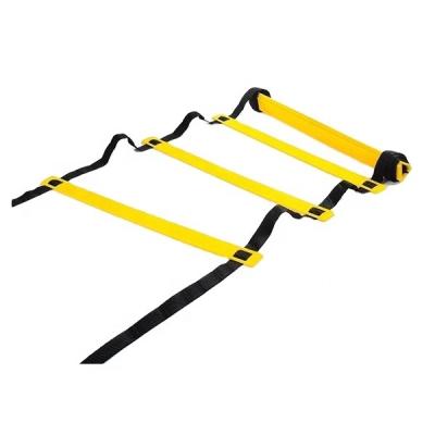 China Custom Outdoor Sport Game FITUS Football Training Speed Agility Ladder Size PP Material for sale